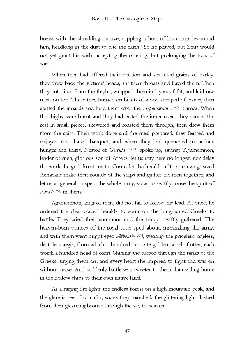 The Iliad - Page 41